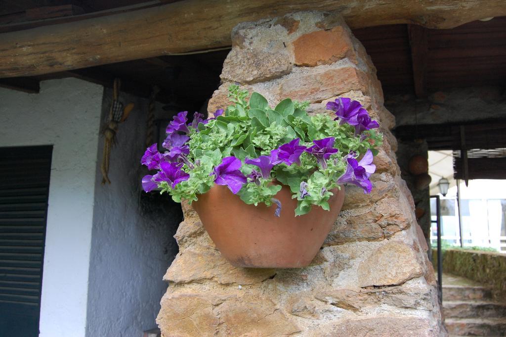 Casa Da Quinta De S. Martinho Hotel Vila Real Luaran gambar