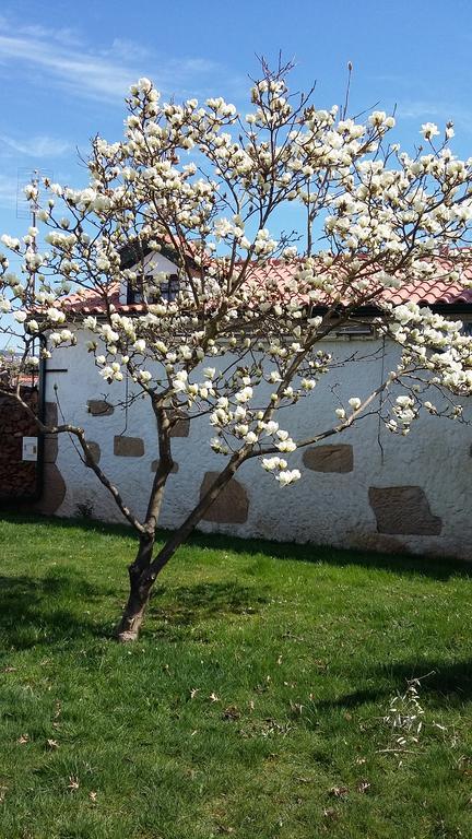 Casa Da Quinta De S. Martinho Hotel Vila Real Luaran gambar
